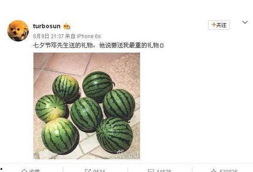 明星黑料网 网红热瓜,网红热瓜背后的真相