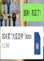 网红大瓜文件docx